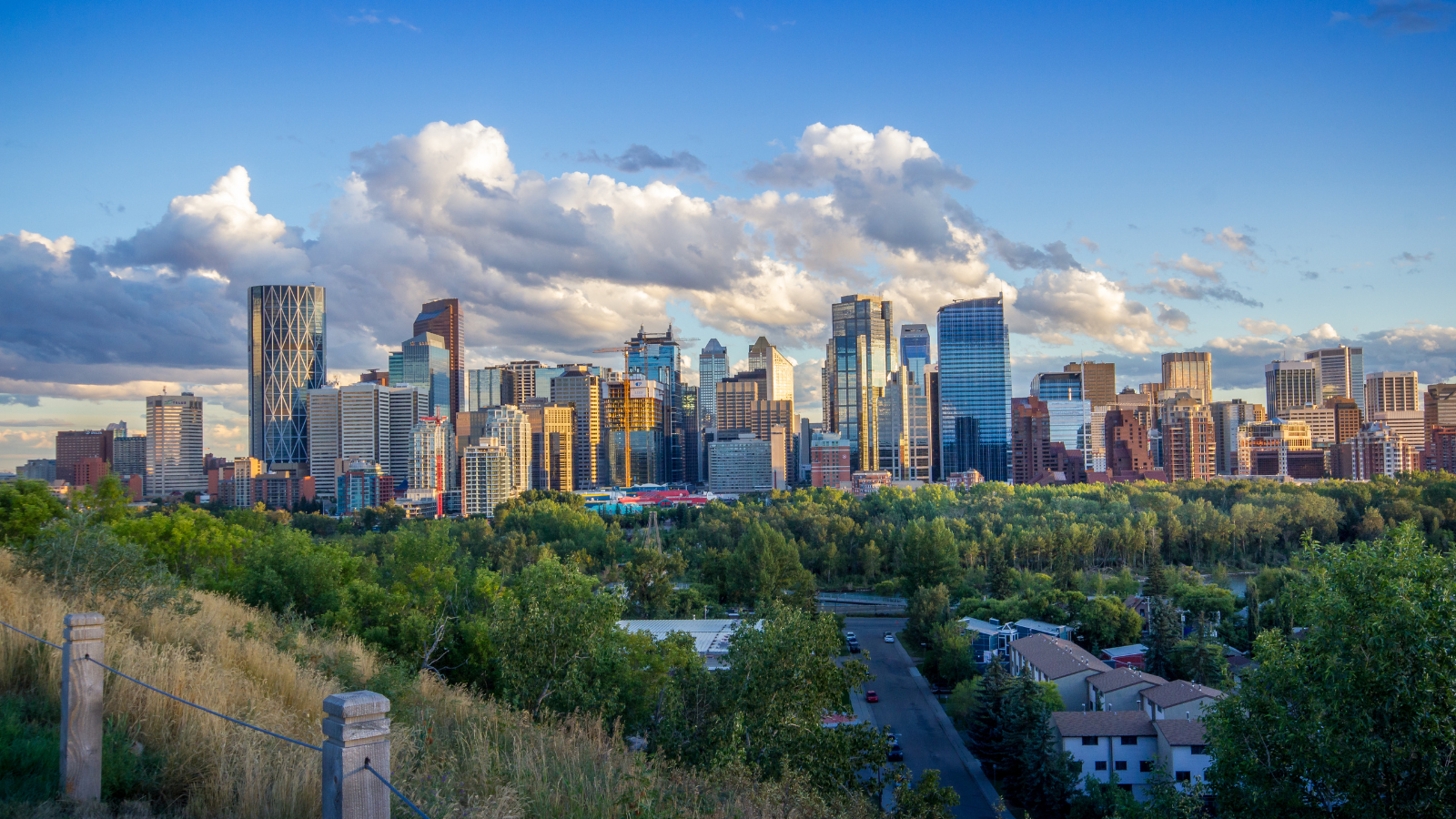 Toronto City Skyline